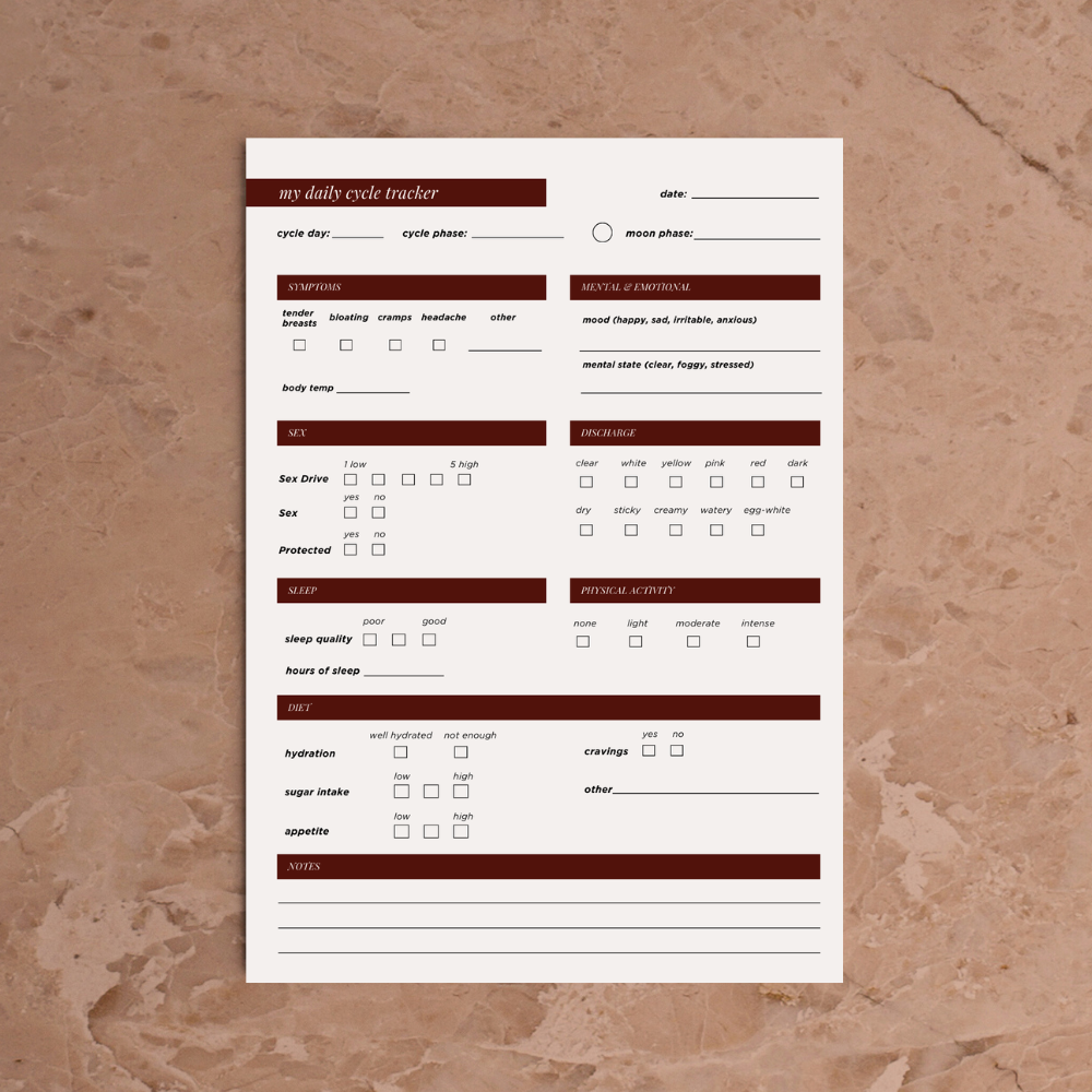 Image of our Menstrual Cycle Tracker PDF