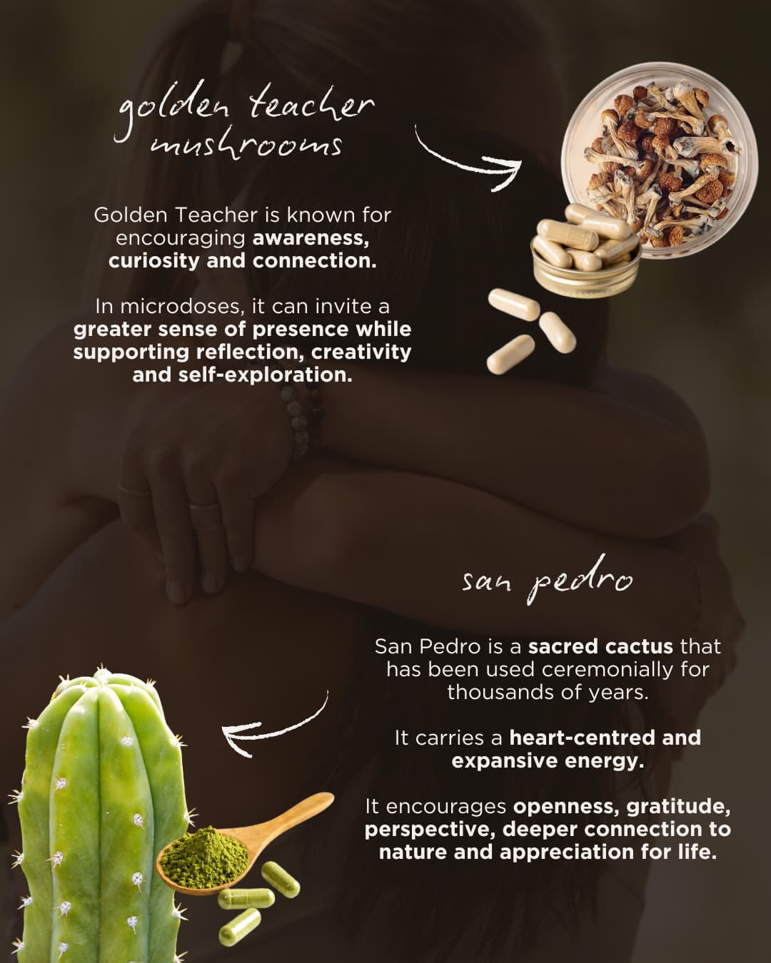 Plant medicine retreat